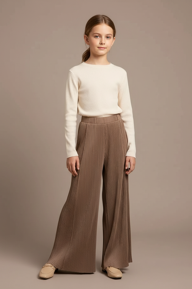 Pantalon À Pince Plissé Marron Ample Fluide Décontracté - Maille