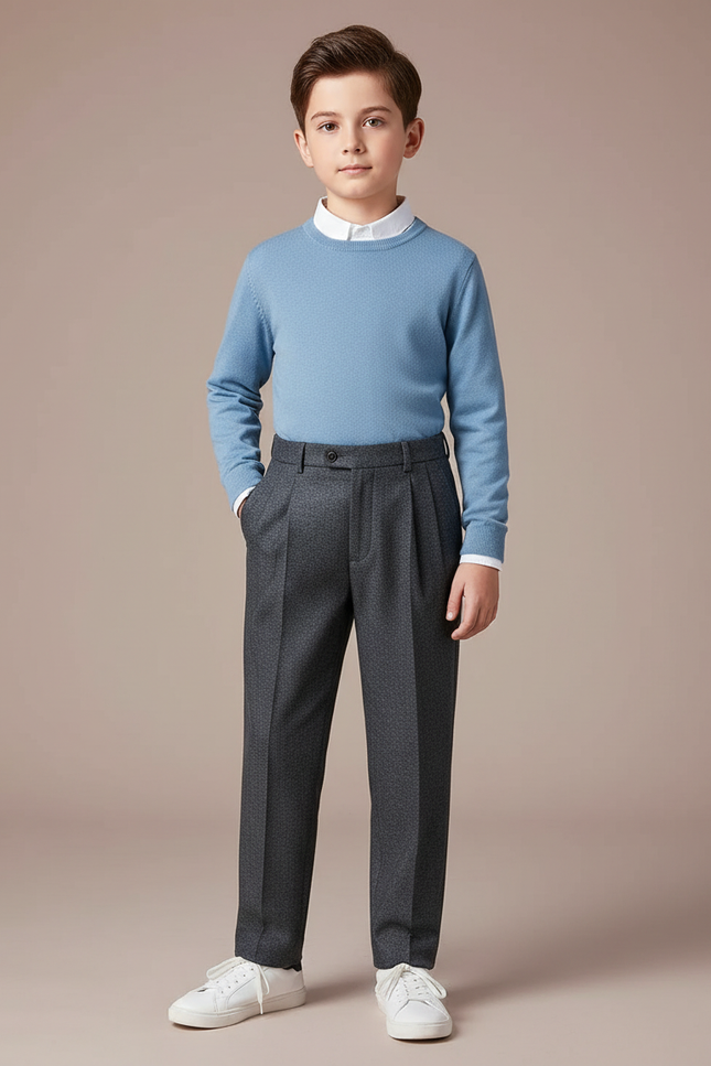 Pantalon À Pince Gris Foncé Texturé Décontracté Plissé - Laine