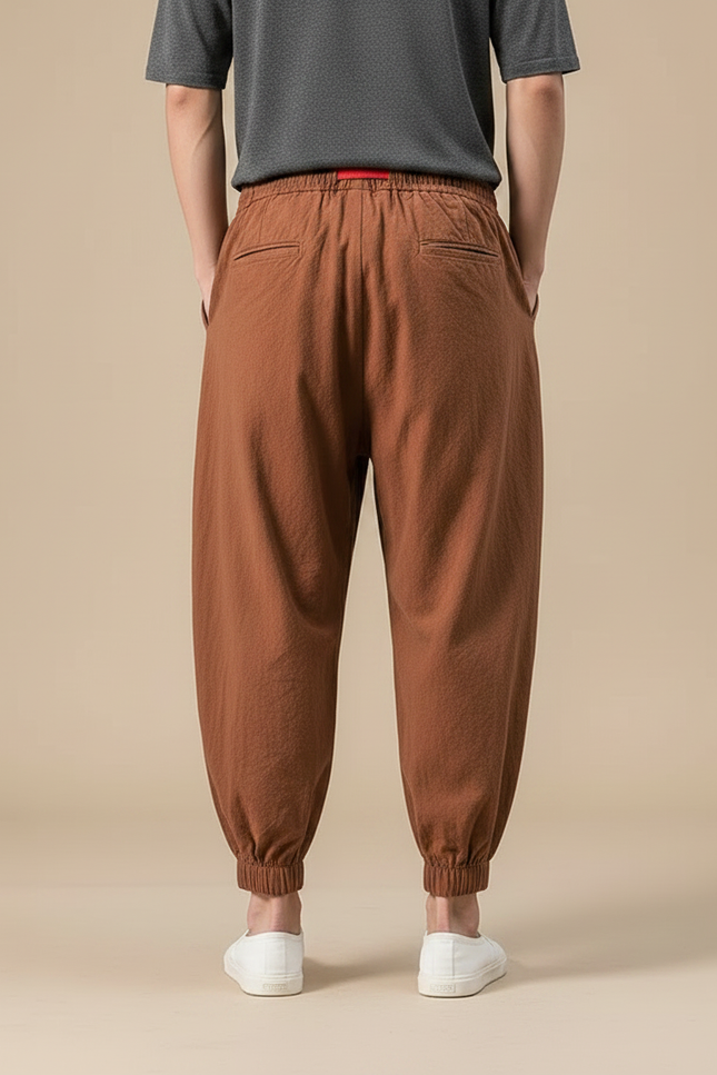 Pantalon À Pince Marron Ample Coton Décontracté Homme - vue 2