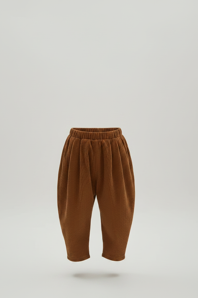 Pantalon À Pince 2902 - Marron Cordé - vue 3